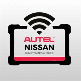 NISSAN SECURITY ACCES